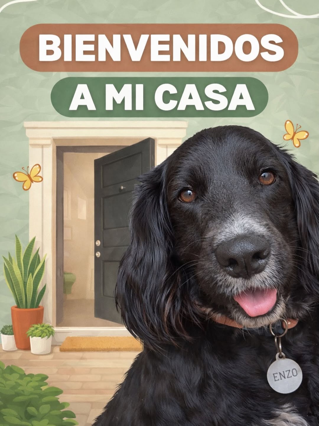 Bienvenidos a mi casa - Enzo