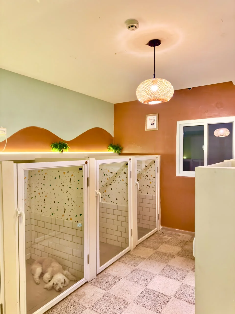 Interior de El Rincón de Enzo, con espacios individuales de hospedaje canino