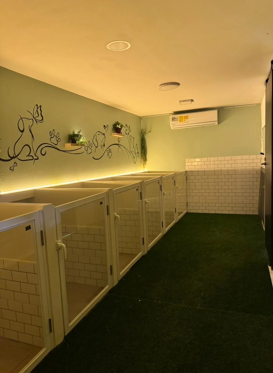 Interior de Sala de Enzo, con espacios individuales de hospedaje canino